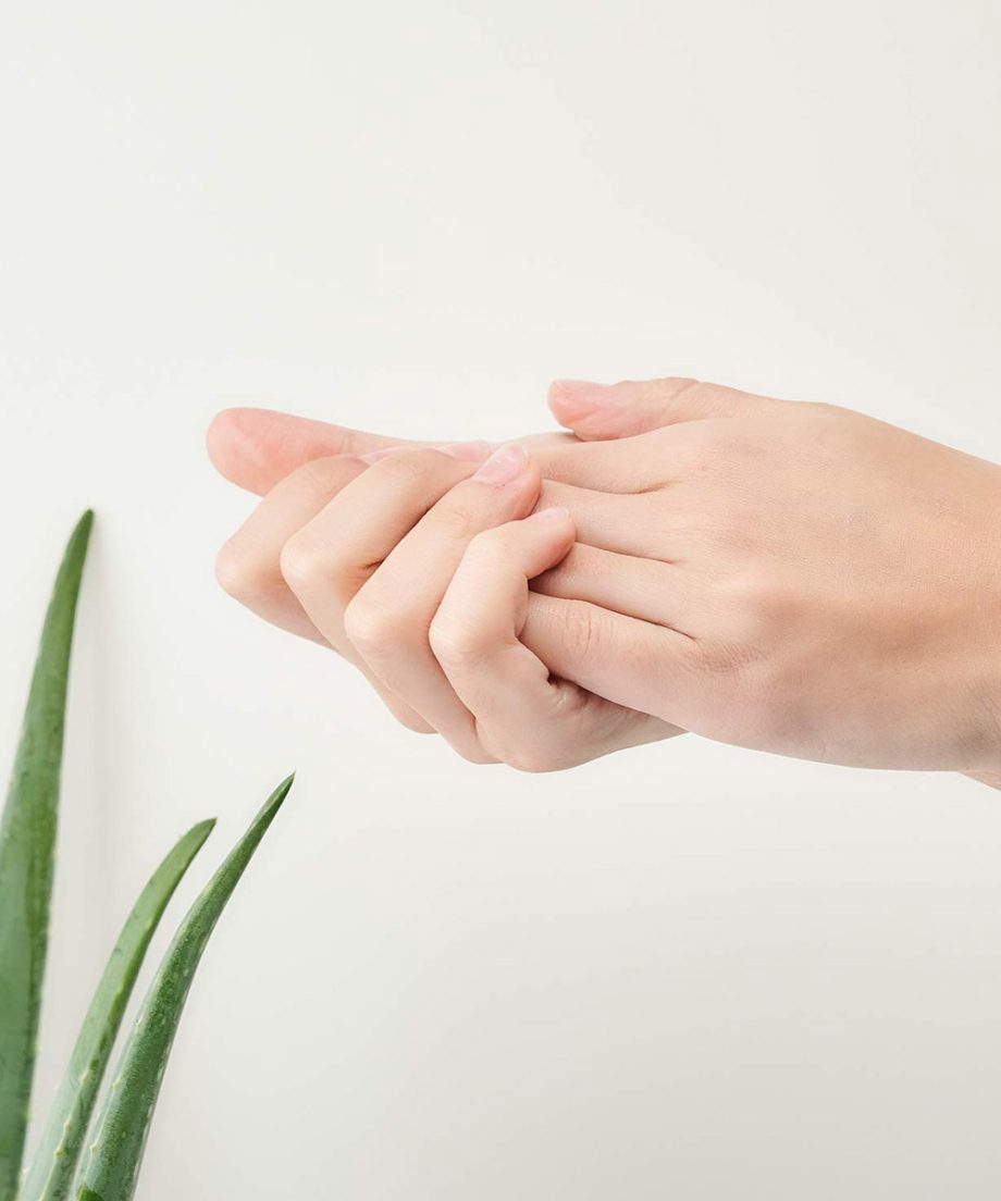 Hand Creme Aloe